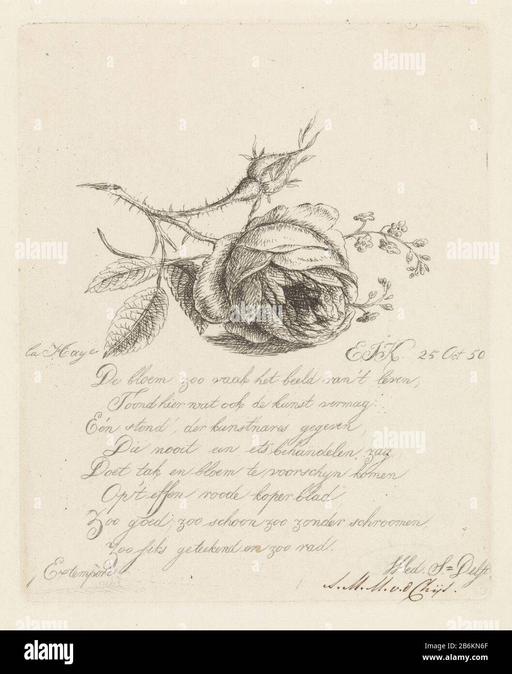 A rose and forget-me-nots Study of a cut rose, a flower and a bud, and forget-me-nots. Below the image is a achtregelig vers. Manufacturer : printmaker: Elisabeth Johanna Koning (listed property) writer: widow S. Delft (listed property) Place manufacture: Den Haag Date: 1850 Physical features: etching material: paper Technique: etching Dimensions: plate edge: h 143 mm × W 116 mm Subject: flowers flowers: rose Stock Photo