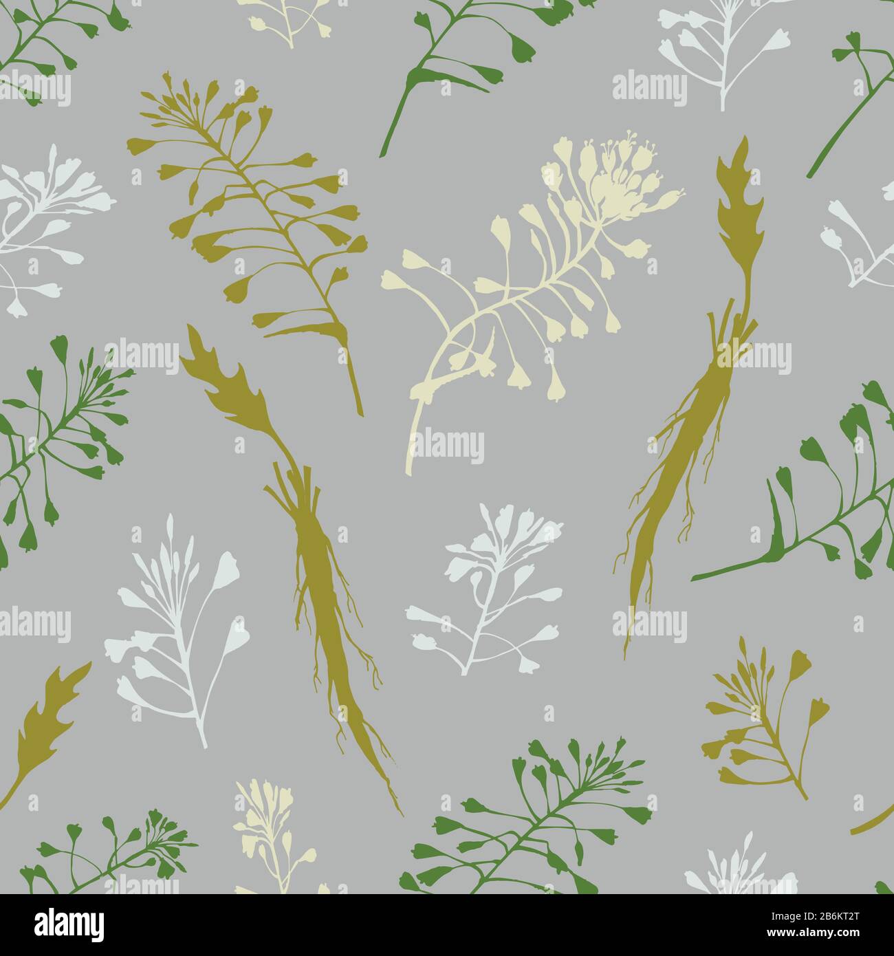 Seamless pattern with color hand drawn silhouette of Shepherds Purse, lives and flowers isolated on gray background. Retro vintage graphic design Stock Vector