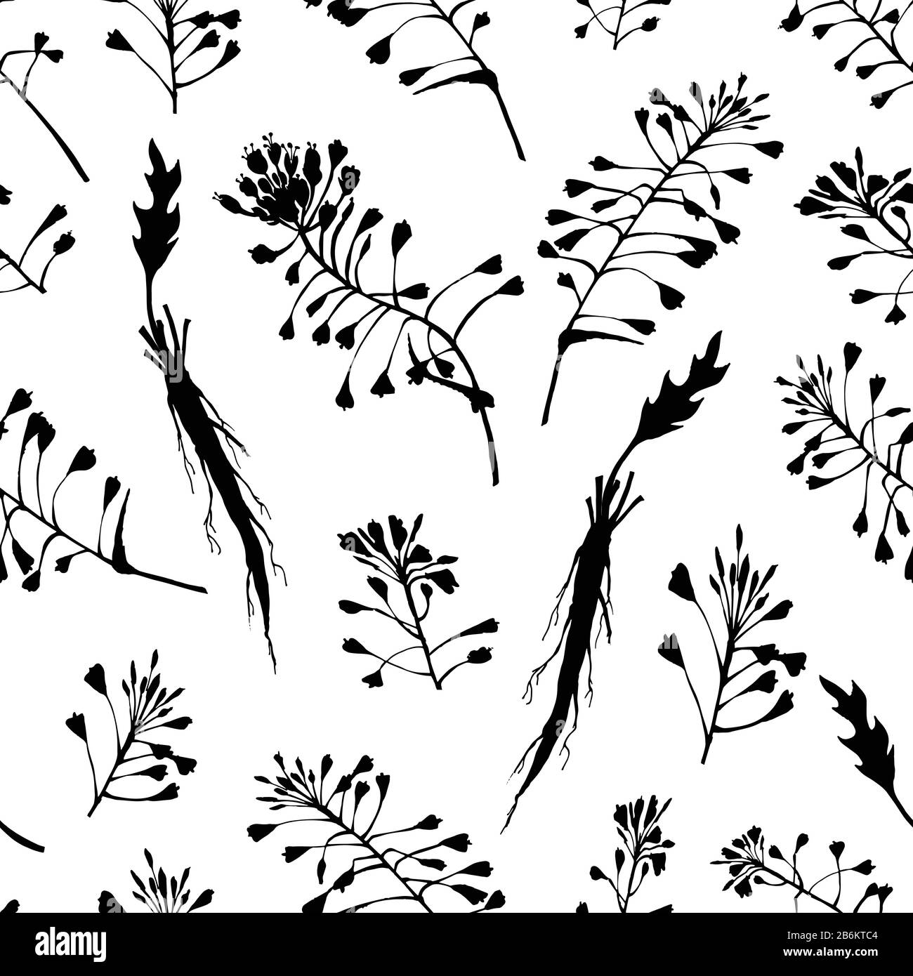 Seamless pattern with black hand drawn silhouette of Shepherds Purse, lives and flowers isolated on white background. Retro vintage graphic design Stock Vector