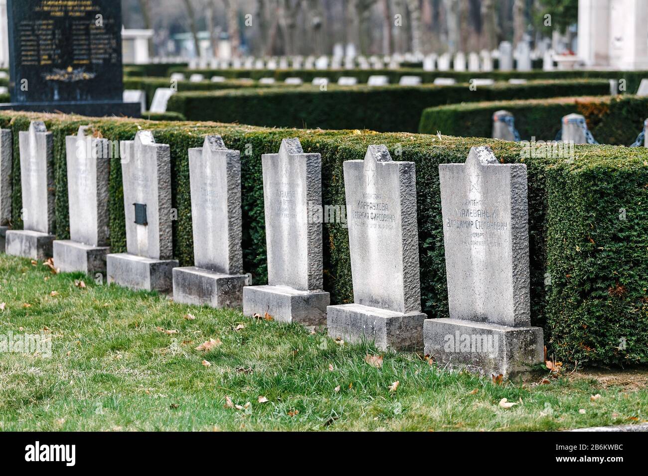 24 MARCH 2017, VIENNA, AUSTRIA: Gravestones to the Soviet fallen soldiers in the central cemetery of Vienna Stock Photo