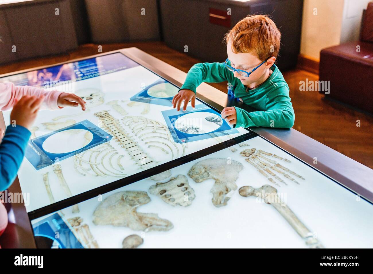 24 MARCH 2017, VIENNA, MUSEUM OF NATURAL HISTORY, AUSTRIA: Little red boy prodigy and geek study human anatomy using an interactive computer board Stock Photo