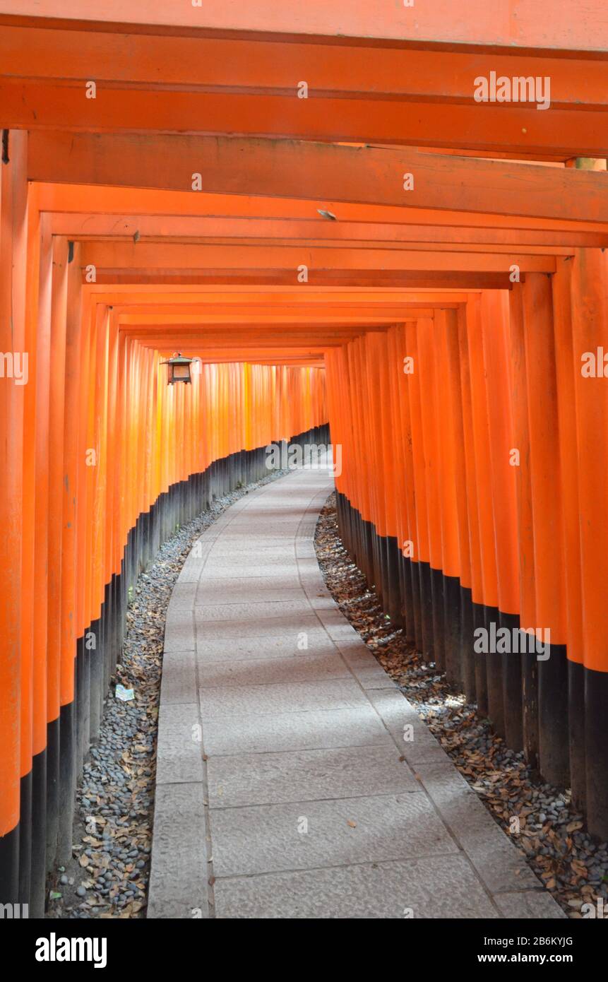 Tunnel of red gates at Inari shrine Stock Photo - Alamy