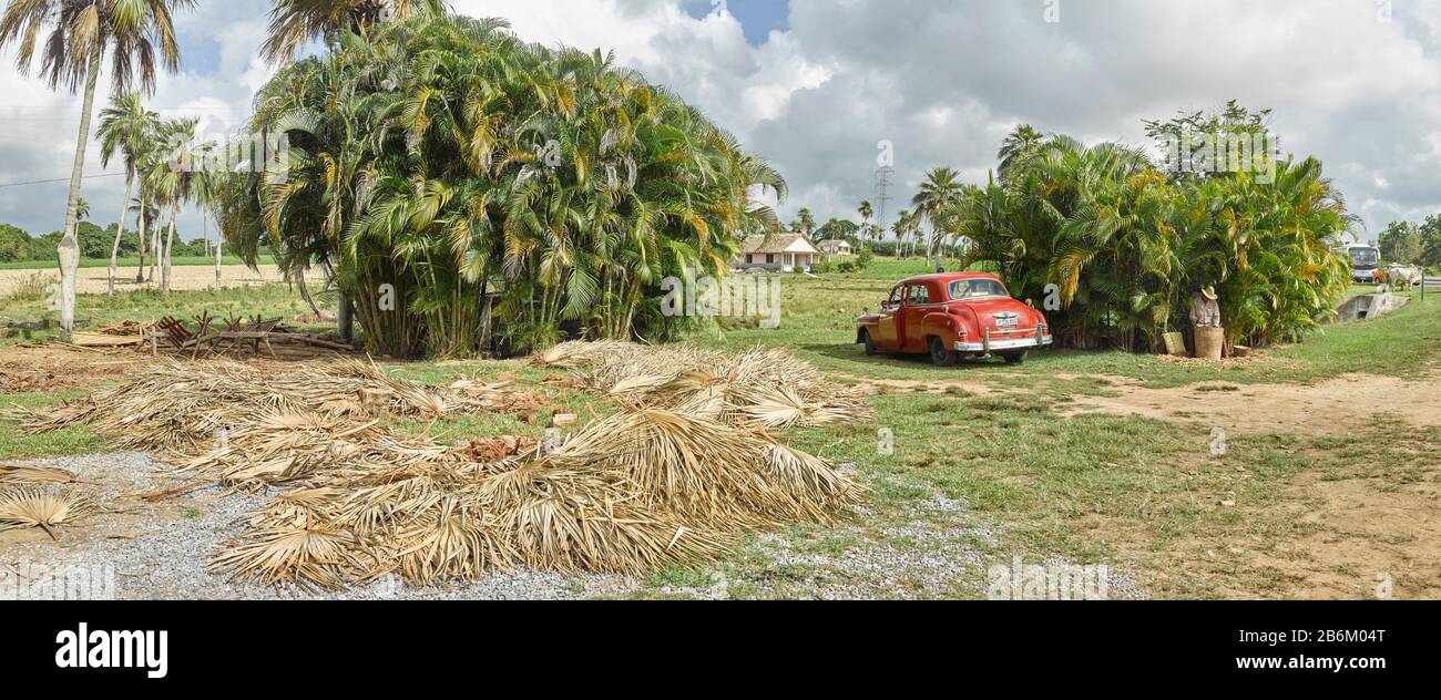 Local palm tree handcrafting near Pinar del Rio, Cuba Stock Photo