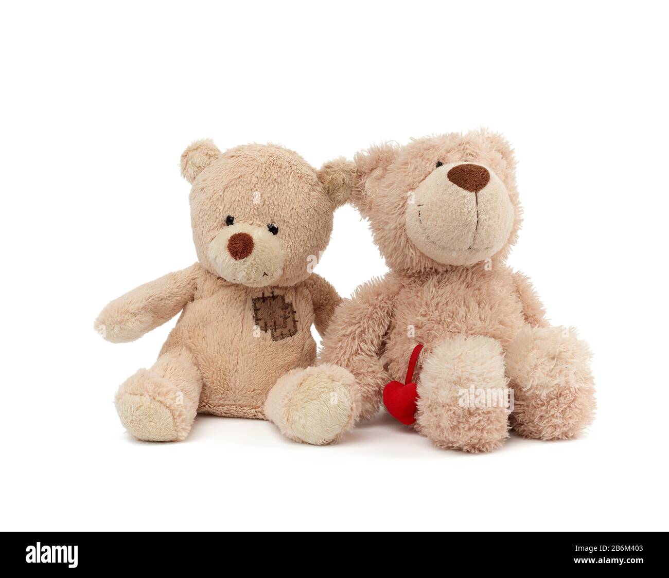 two teddy beige bears sitting huddled together, toys isolated on white background Stock Photo