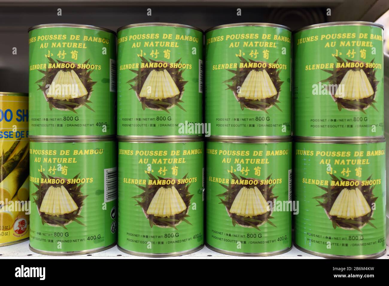 Bamboo Shoots High Resolution Stock Photography and Images Alamy