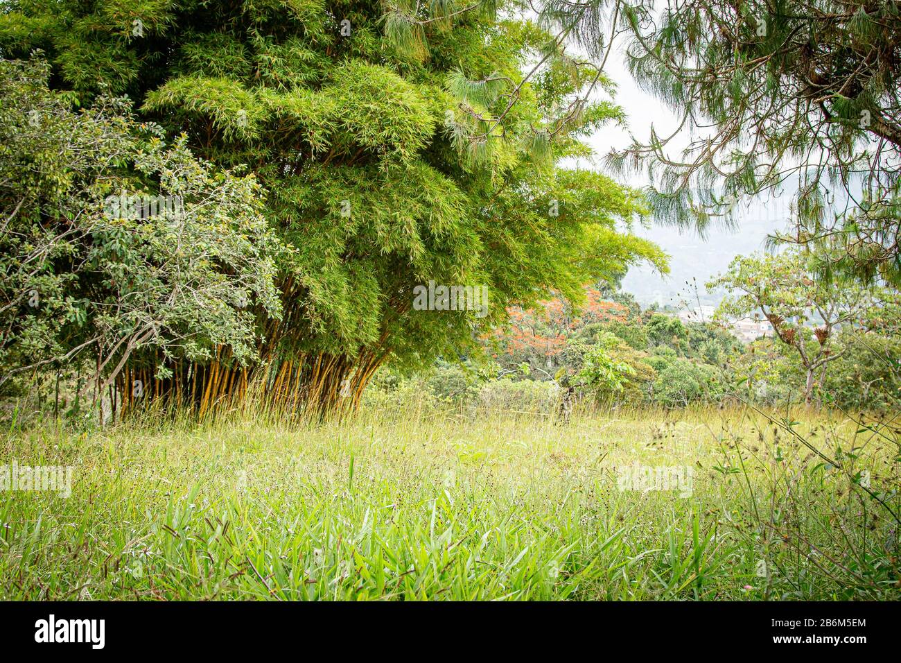 El Guadal, San Agustin, Huila, Colombia Stock Photo