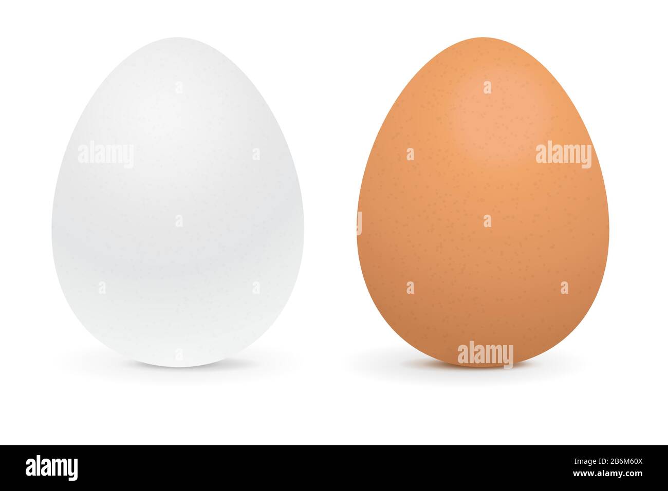 White and brown eggs Stock Vector