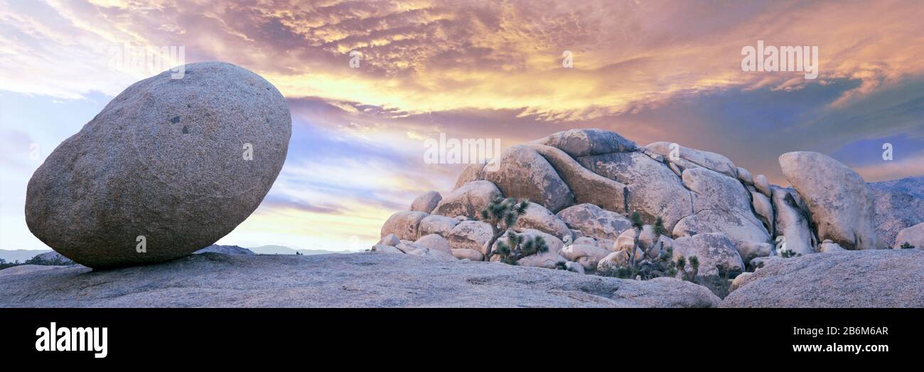 Lone boulder in desert at sunrise, Joshua Tree National Park, California, USA Stock Photo