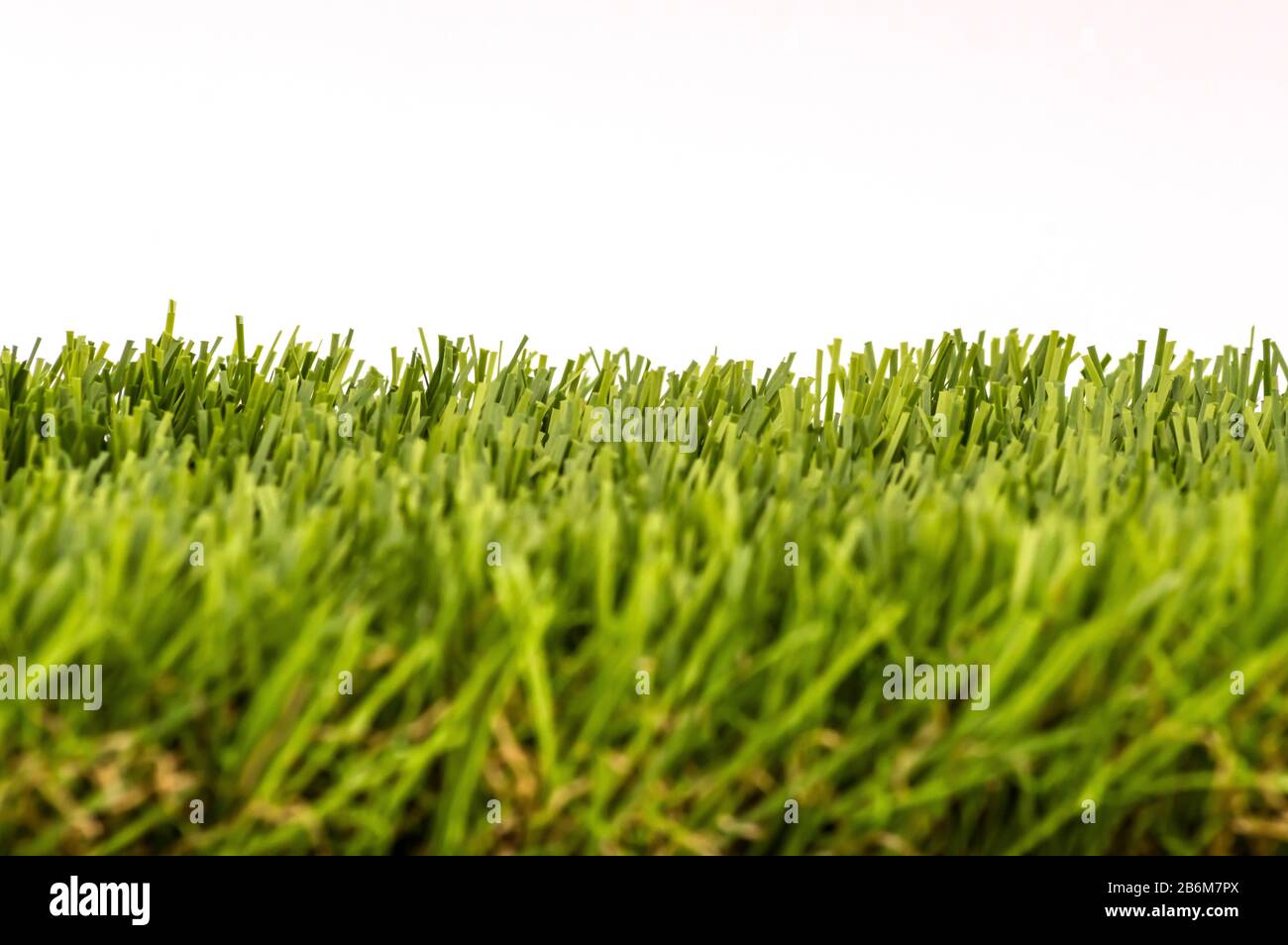 Fresh green grass isolated on white background Stock Photo - Alamy