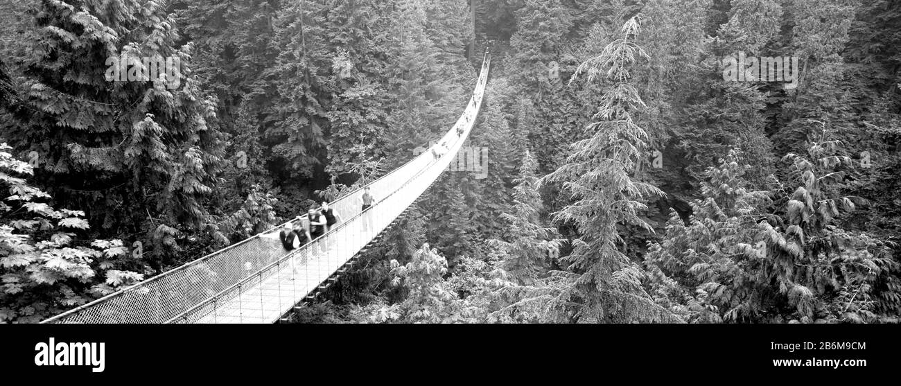 Capilano Bridge, Suspended Walk, Vancouver, British Columbia, Canada Stock Photo