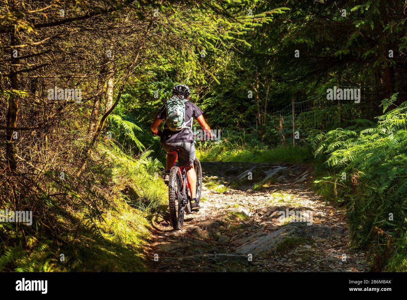 Cyclist (on e-bike) on a rocky bridleway in Grizedale Forest in the English Lake District Stock Photo