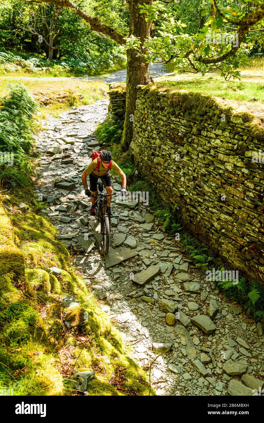 Hodge park mountain bike trails sale