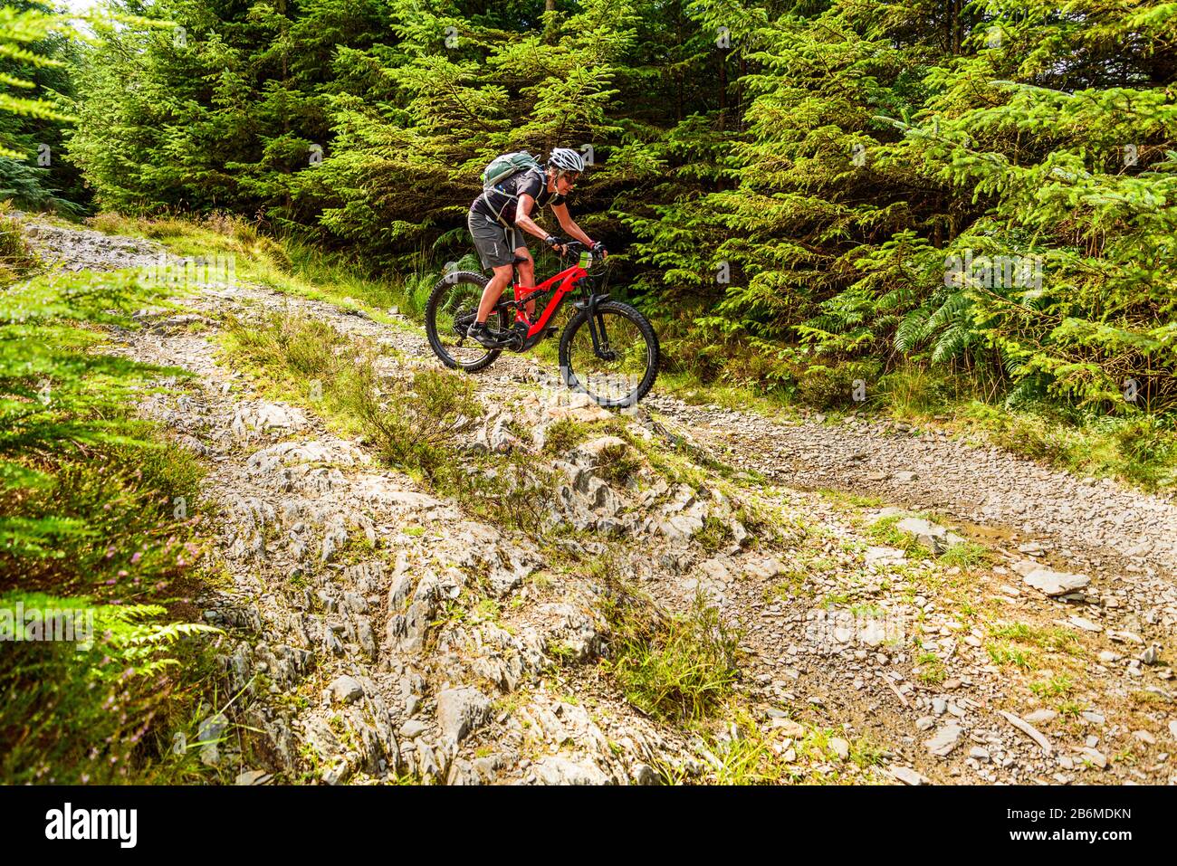 Cyclist (on e-bike) on a rocky bridleway in Grizedale Forest in the English Lake District Stock Photo