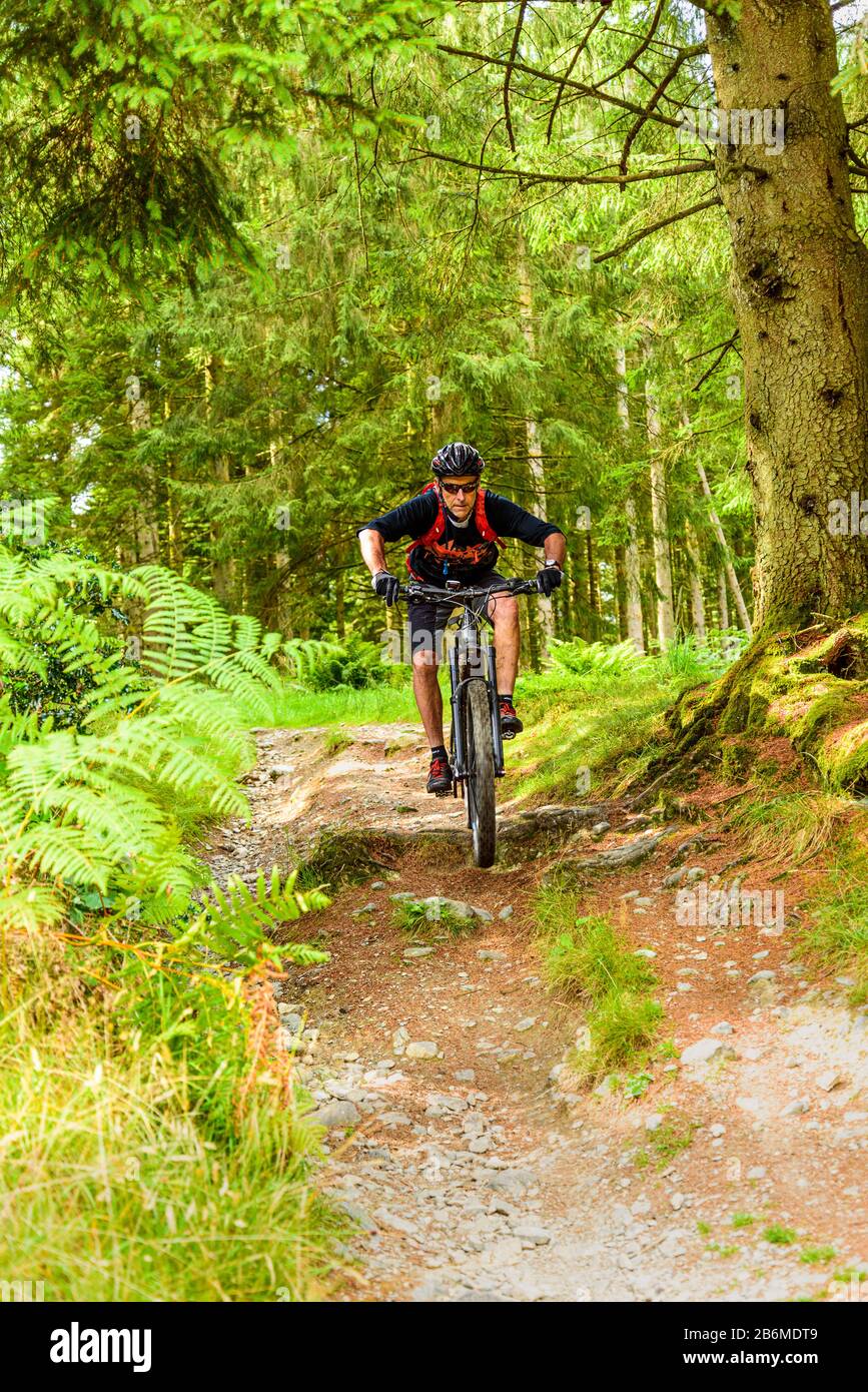 Grizedale forest best sale mtb