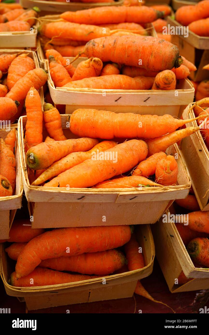 Containers of Fresh orange carrots for sale at a farmers market Stock