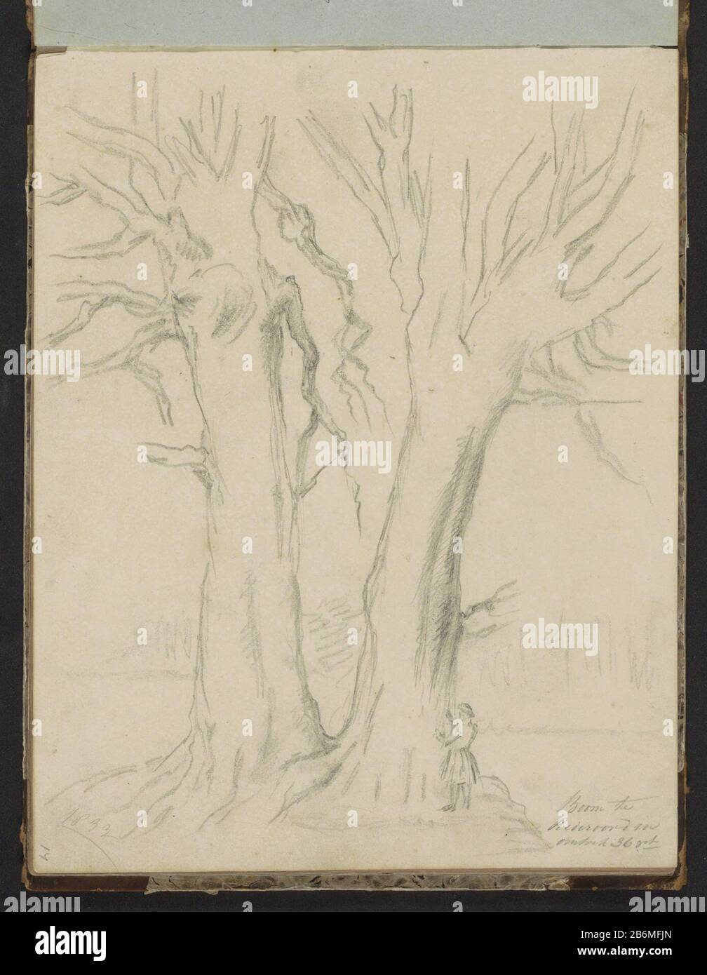 Figuur bij een boom op het landgoed Rhederoord Journal 14 recto from a sketch-41 bladen. Manufacturer :  draftsman: John TavenraatPlaats manufacture: Gelderland Date: 1833 Physical characteristics: pencil material: paper pencil  Subject: tree standing figure where: Gelderland Stock Photo