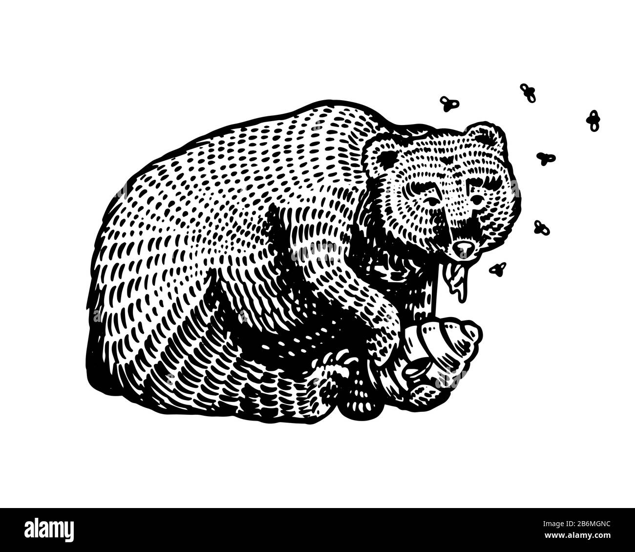 Grizzly Brown Bear eats honey. In a wild animal in the paw a beehive with bees. Side view. Hand drawn engraved old sketch for T-shirt, tattoo or label Stock Vector