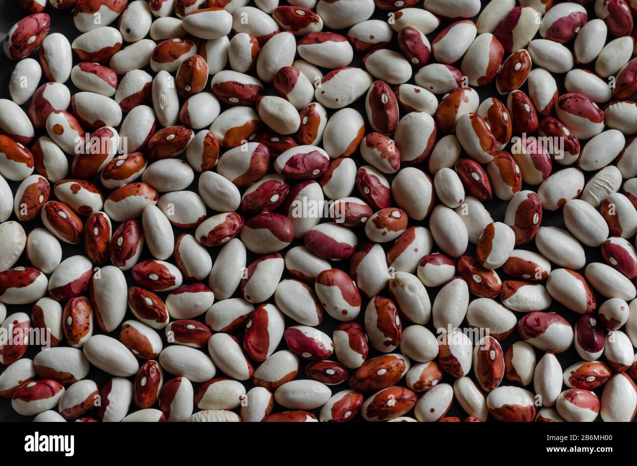 Anasazi beans background. Demonstration of a group of Dry Beans close
