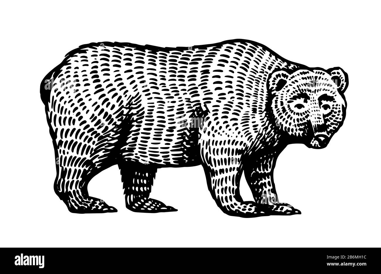 60+ Bear Tattoo Designs For Everyone - Bear Tattoo Drawings 2023 -  HARUNMUDAK