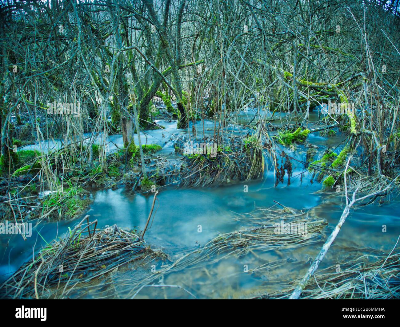 forest waterfall and rocks in the forest Stock Photo - Alamy