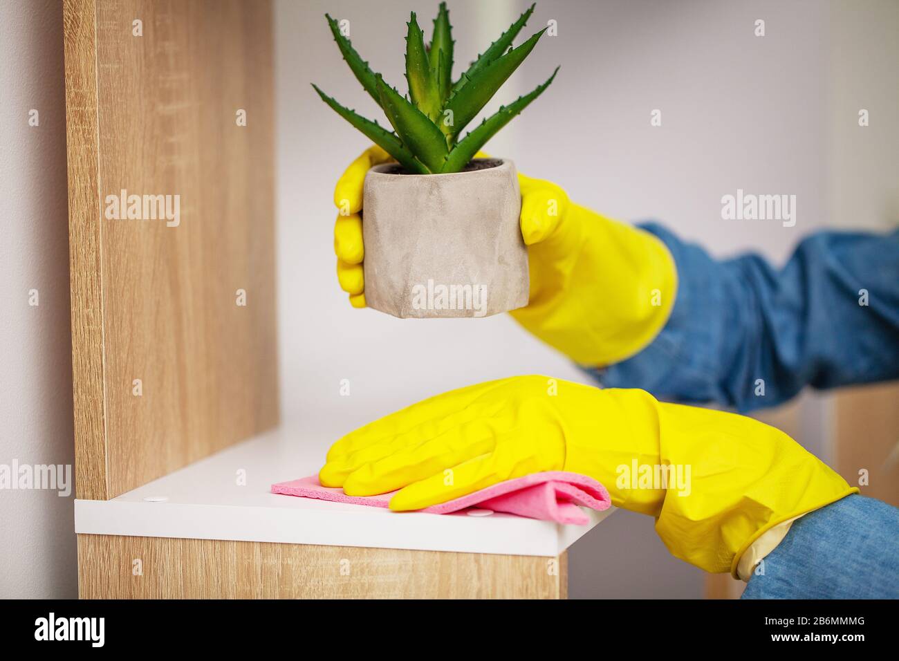 Closeup of worker hand wiping dust in office Stock Photo - Alamy