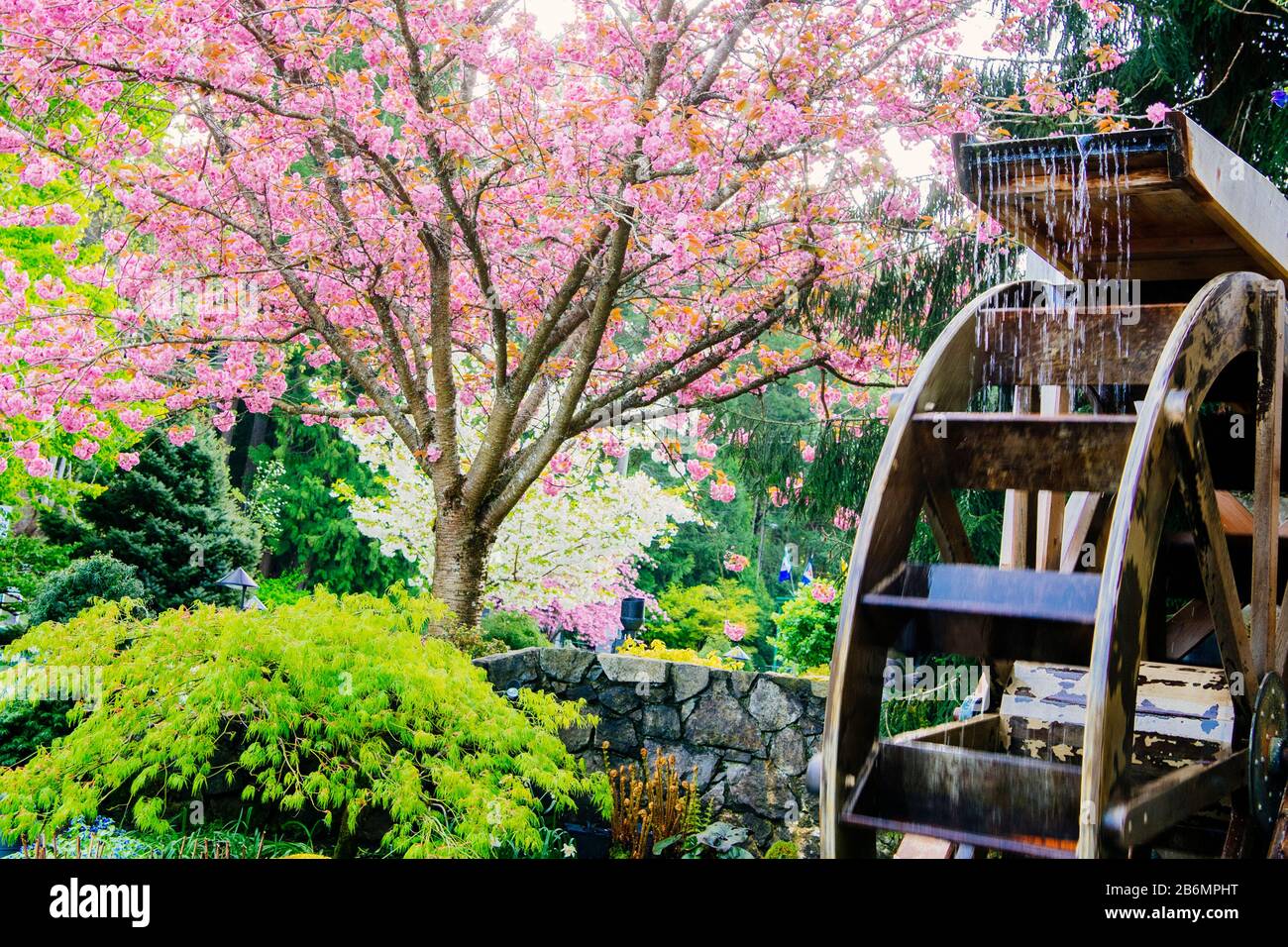 View of mill in garden, Butchart Gardens, Vancouver Island, British Columbia, Canada Stock Photo