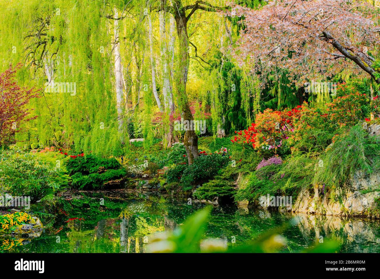 View of pond in garden, Butchart Gardens, Vancouver Island, British Columbia, Canada Stock Photo