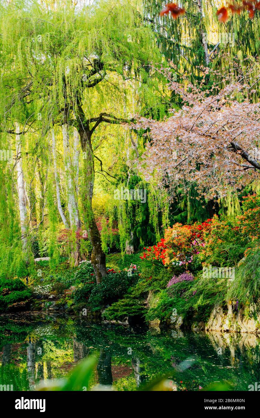 View of pond in garden, Butchart Gardens, Vancouver Island, British Columbia, Canada Stock Photo