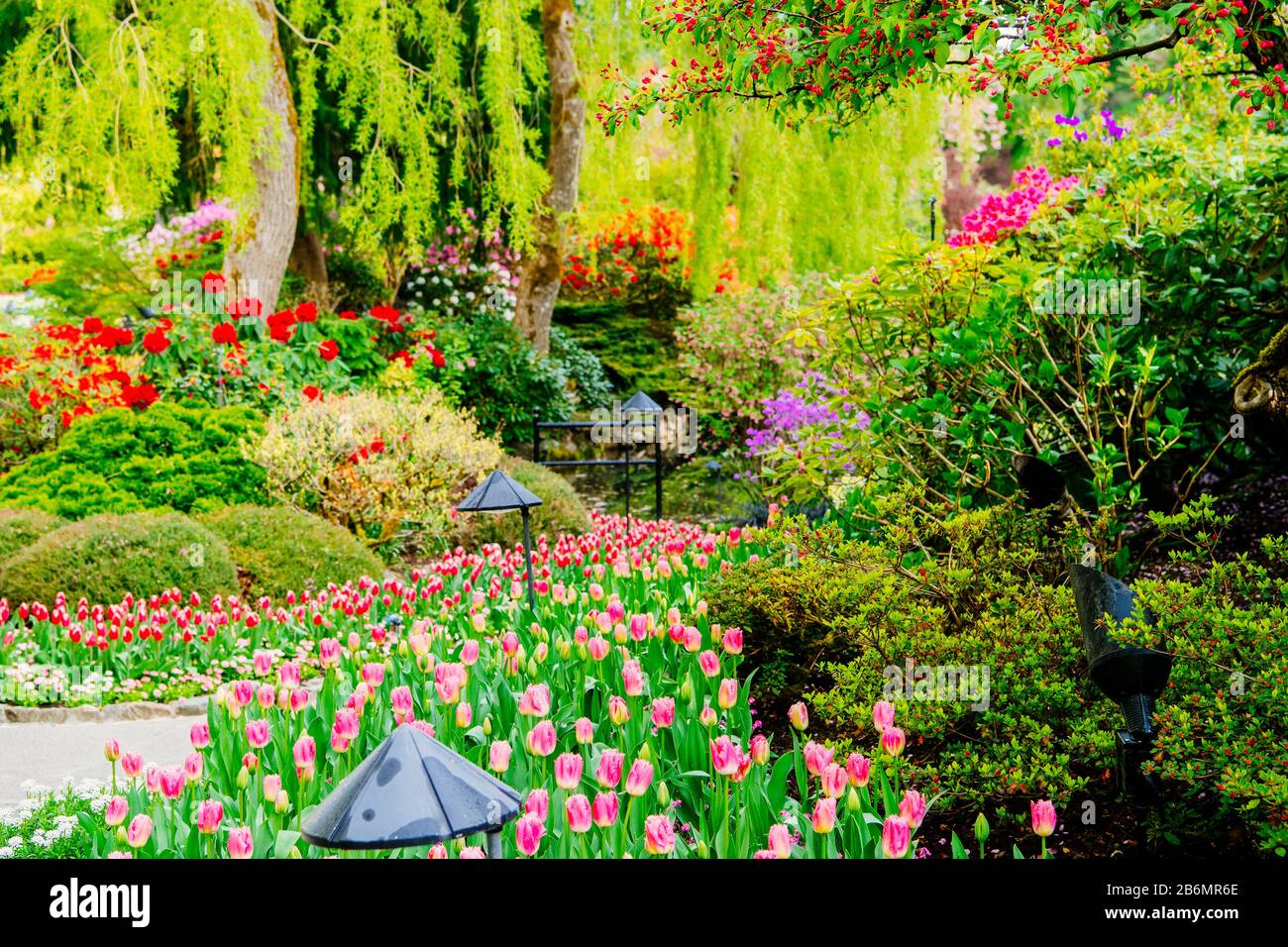 Canada plant trees hires stock photography and images Alamy