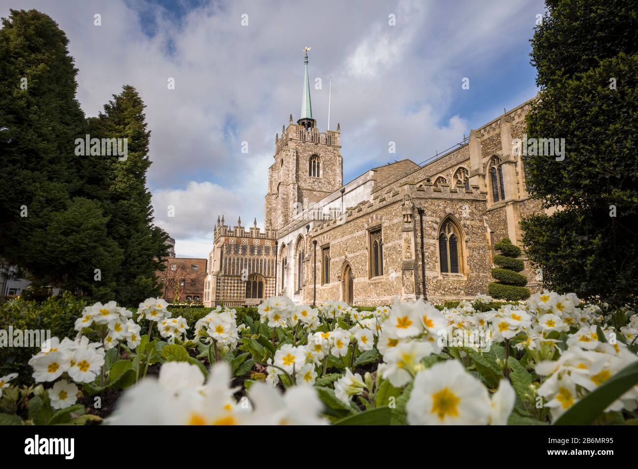 Chelmsford Cathedral Stock Photo