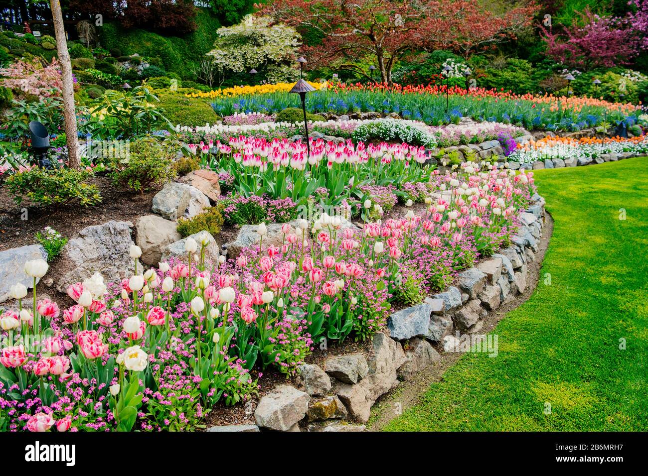 Landscape with colorful flowers in formal garden, Butchart Gardens, Vancouver Island, British Columbia, Canada Stock Photo