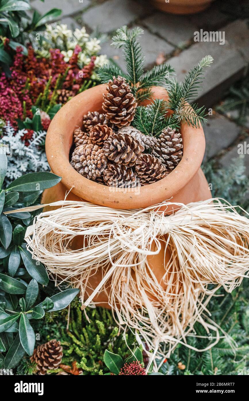 christmas decoration pot Stock Photo