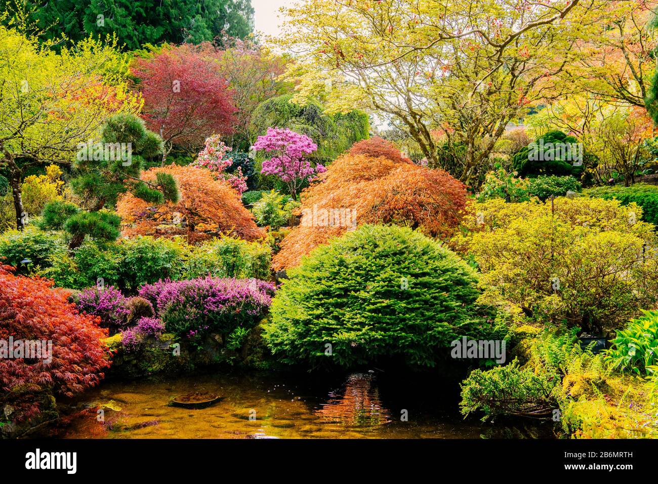 Landscape of Japanese style garden with bushes and pond, Butchart Gardens, Vancouver Island, British Columbia, Canada Stock Photo