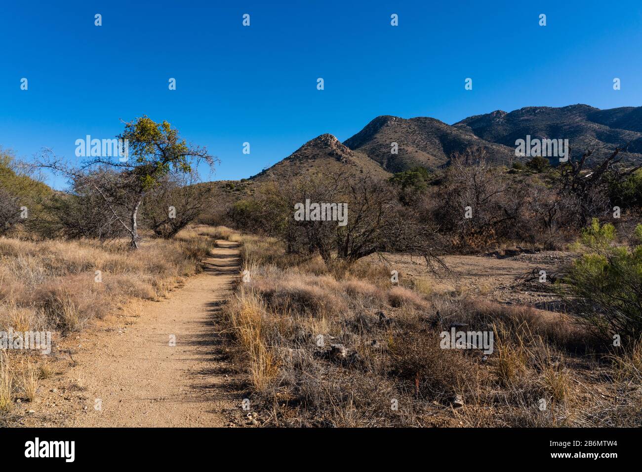 hiking path through Fort Bowie National Historic Park with mountains, dirt path and dry vegetation Stock Photo