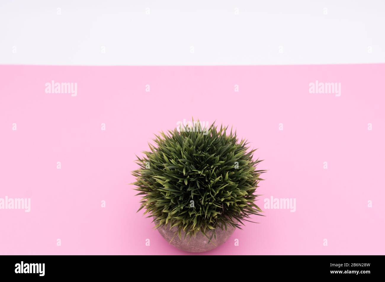 artificial potted plants on a white background nature concept Stock