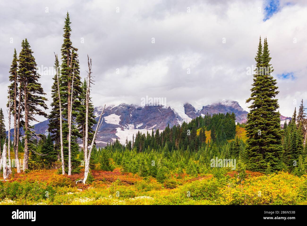 Paradise Valley and Mount Rainier in Mount Rainier National Park, Washington, USA Stock Photo