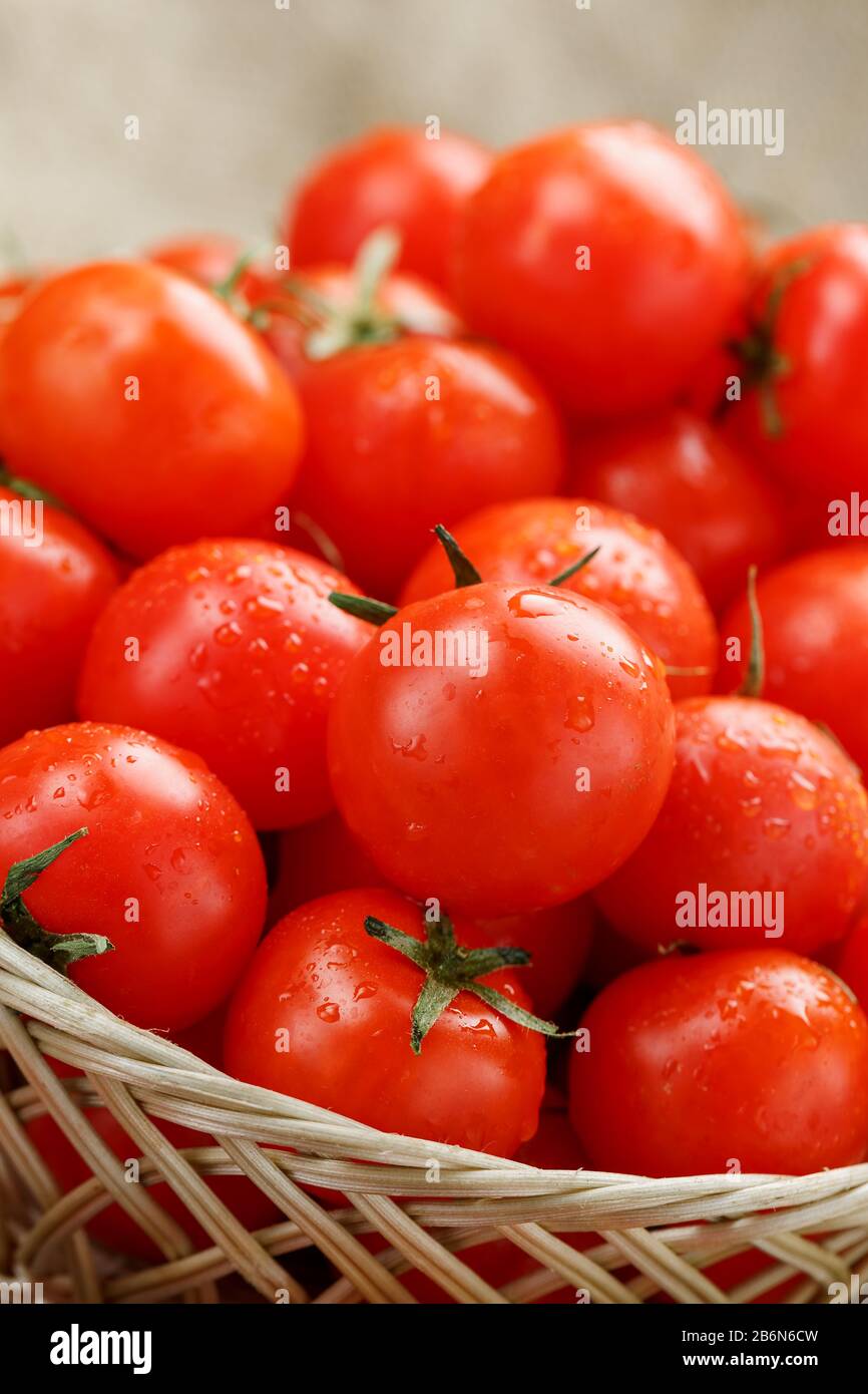 Small red tomatoes in a wicker basket on an old wooden table. Ripe and ...
