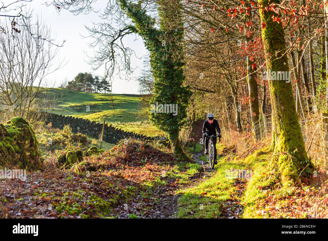 Cyclist on bridleway near Cartmel in the southern Lake District Stock Photo