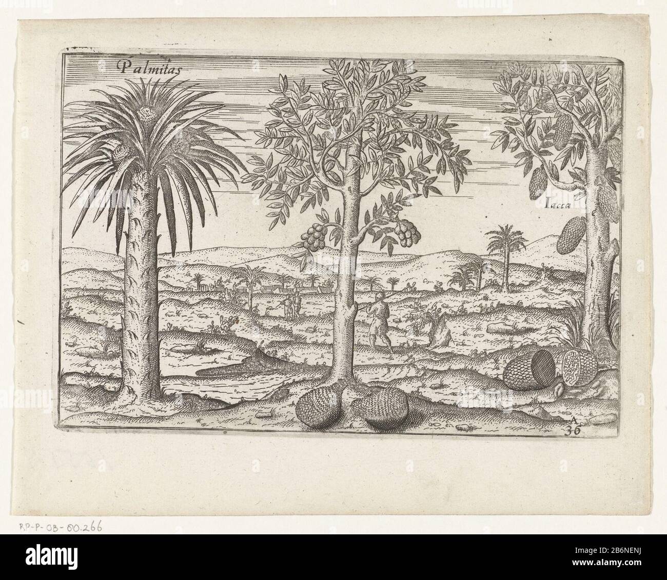 Cornelis de houtman hires stock photography and images Alamy