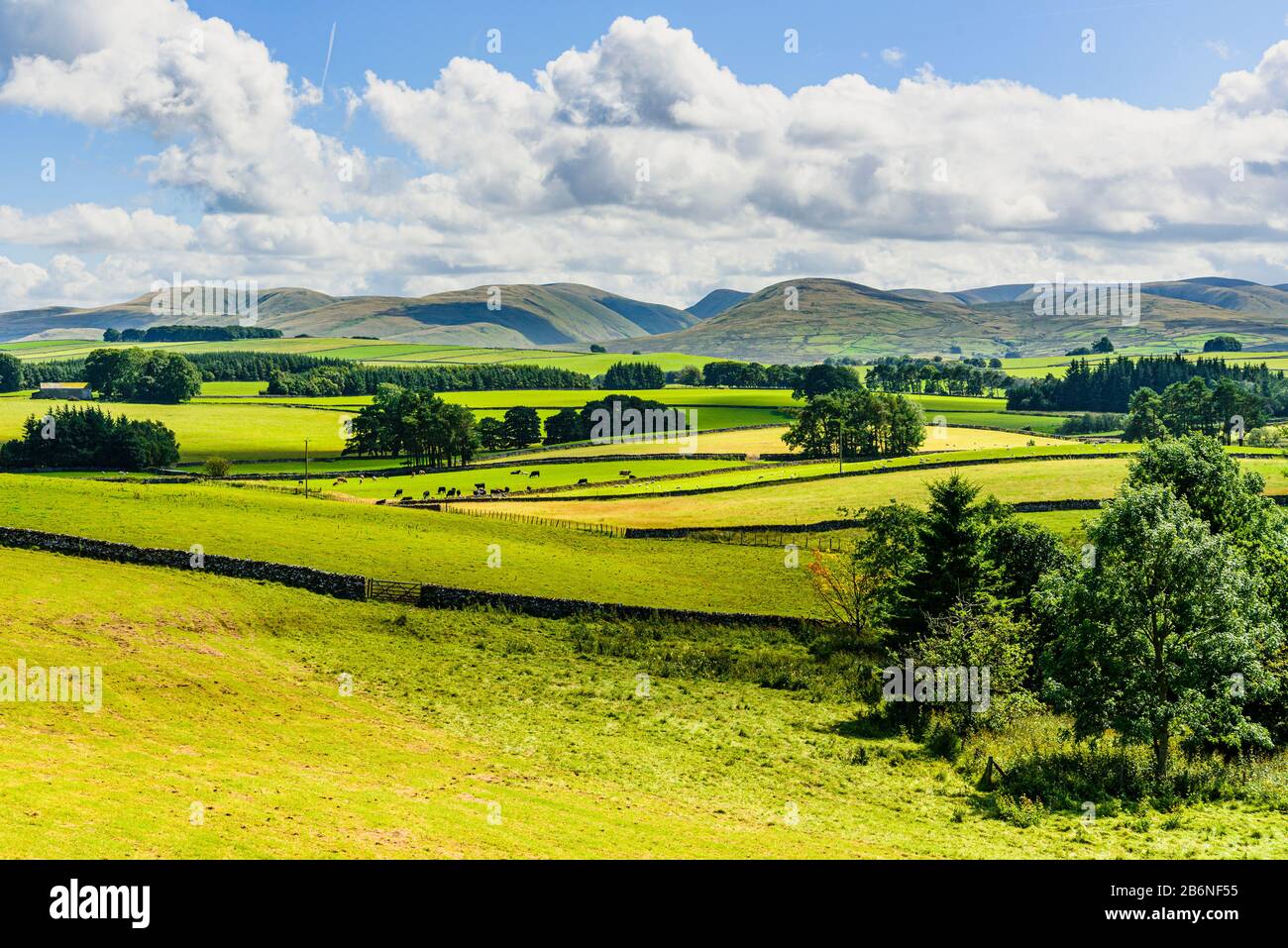 The Howgill Fells from near Orton in the Yorkshire Dales National Park Stock Photo