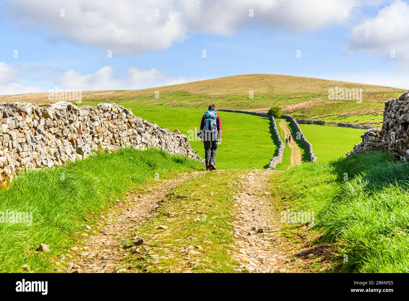 Walker on the Pennine Way above Horton-in-Ribblesdale in the Yorkshire Dales Stock Photo