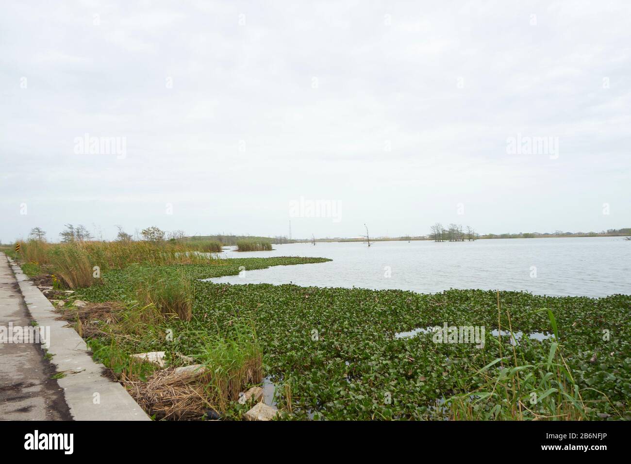 Louisiana swamp boat hi-res stock photography and images - Alamy