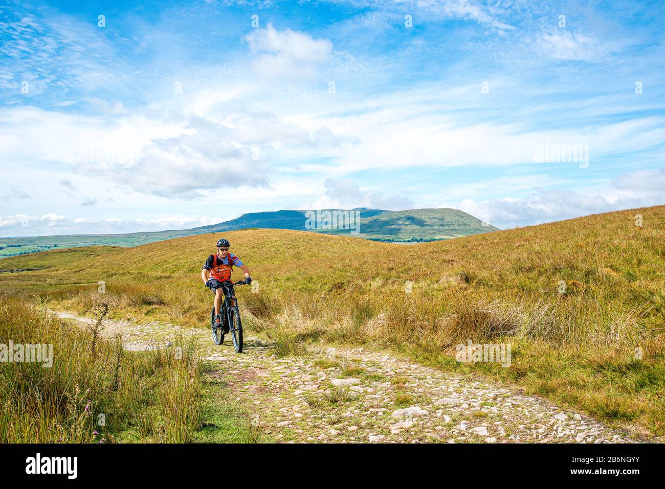 Cyclist (on e-bike) climbing to Cam High Road on the Pennine Bridleway, with Ingleborough behind Stock Photo