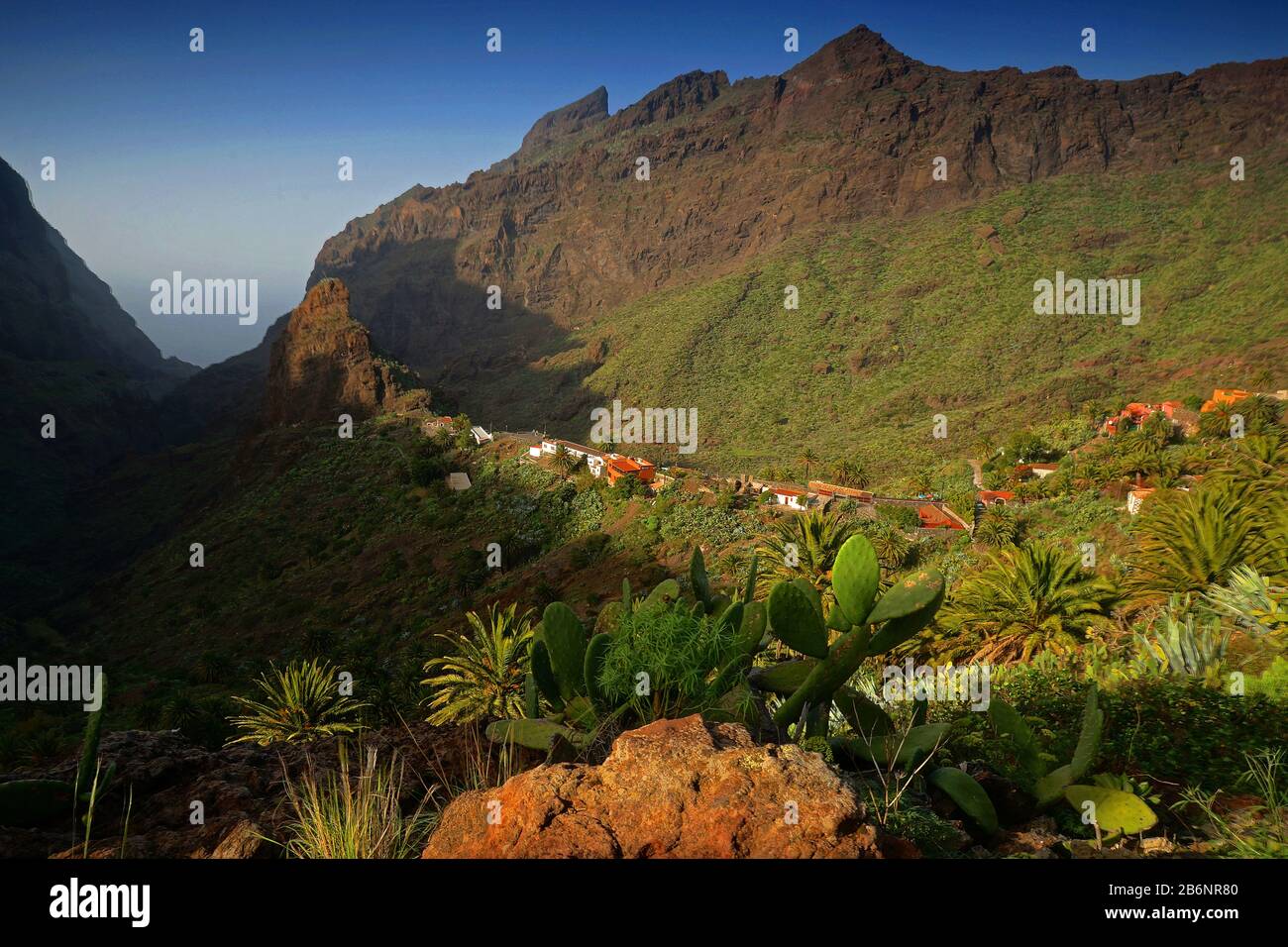 Kanarische Inseln, Teneriffa, Masca Stock Photo