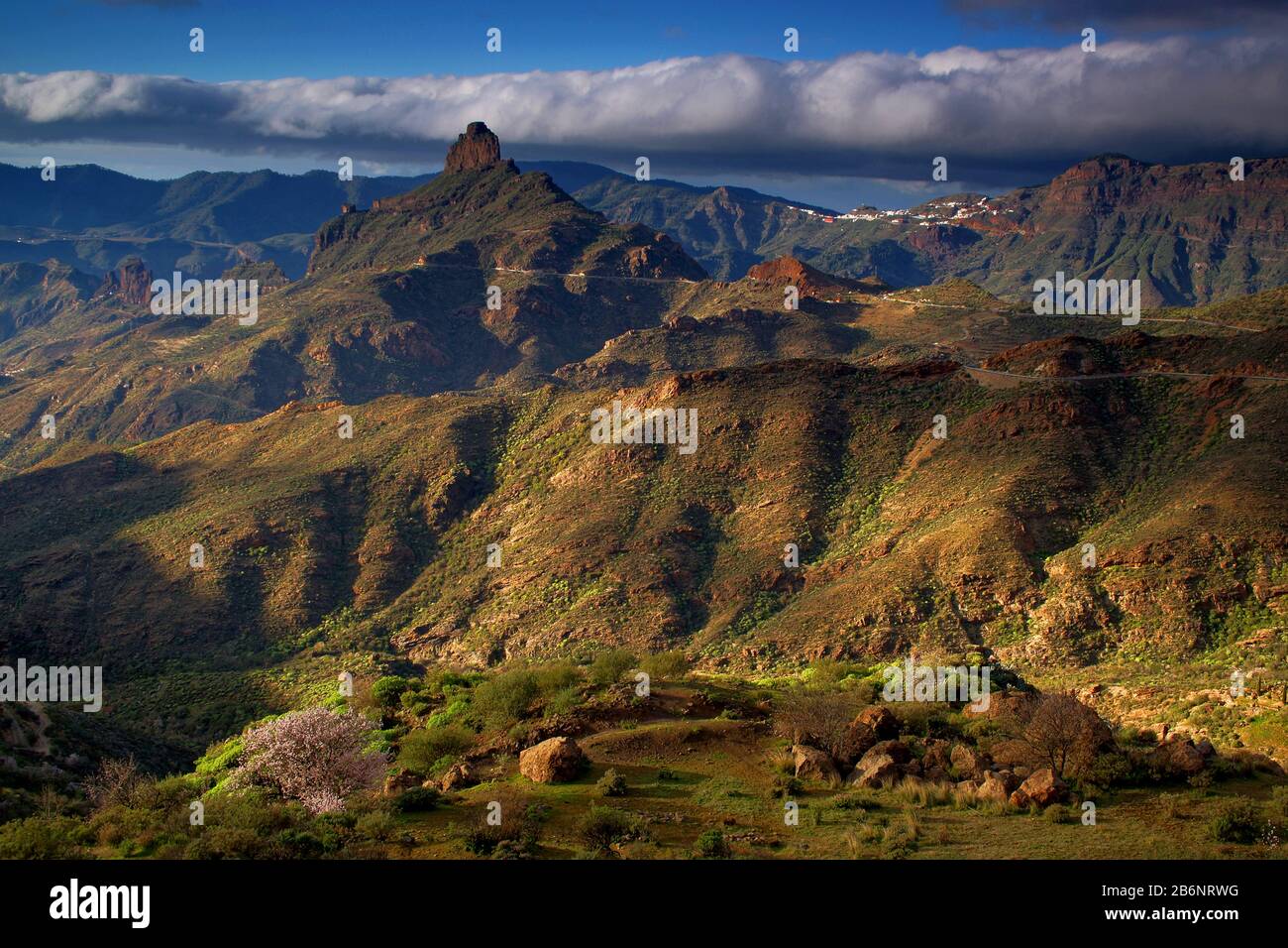 Kanarische Inseln, Gran Canaria, Parque Rural del Nublo, Stock Photo