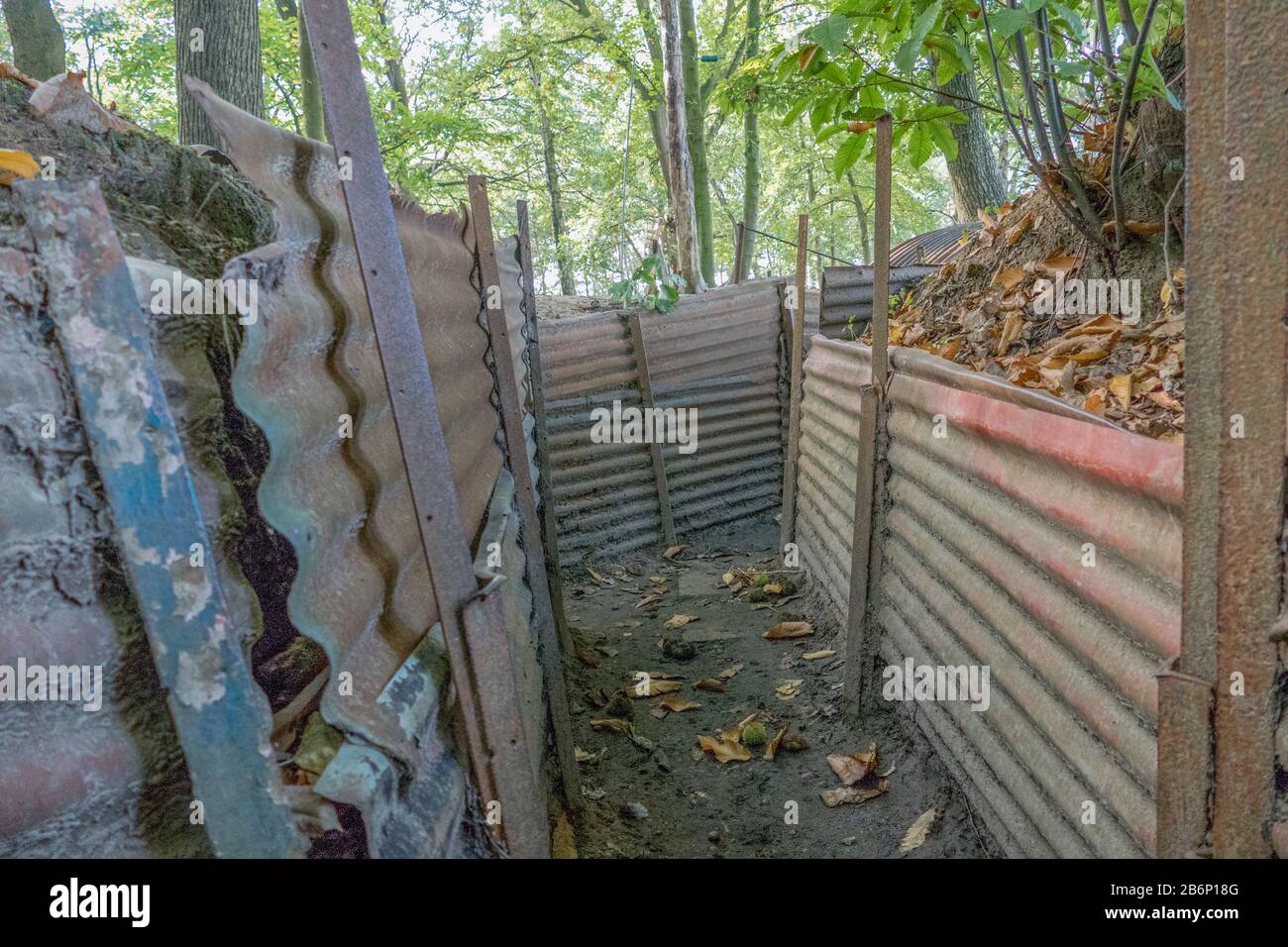 British World War 1 trenches at Hill 62 Sanctuary Wood on the Ypres Salient battlefields, Belgium. Stock Photo