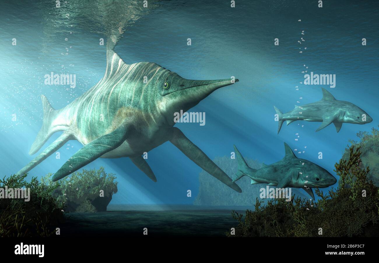 A massive creature pursues two sharks through the Triassic seas. This is shastasaurus, an