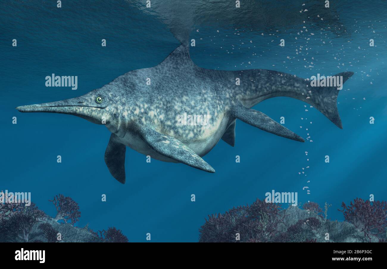 A massive creature prowls the depths of a Triassic sea. This is  shastasaurus, an ichthyosaur, and the largest marine reptile ever. 3D  Rendering Stock Photo - Alamy