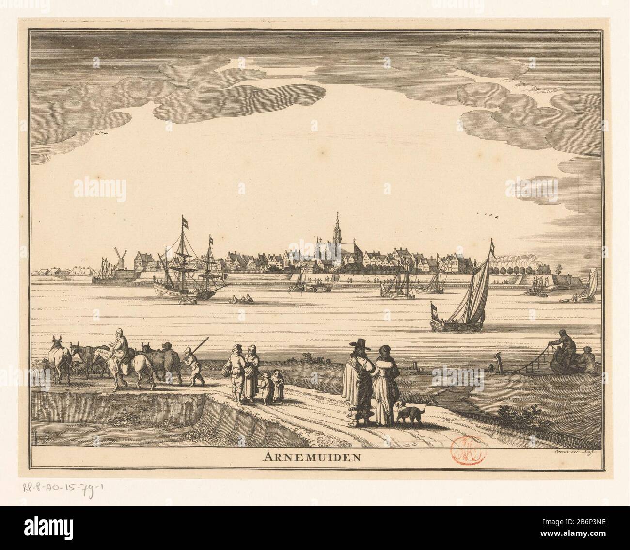 Speculum zelandiae hires stock photography and images Alamy