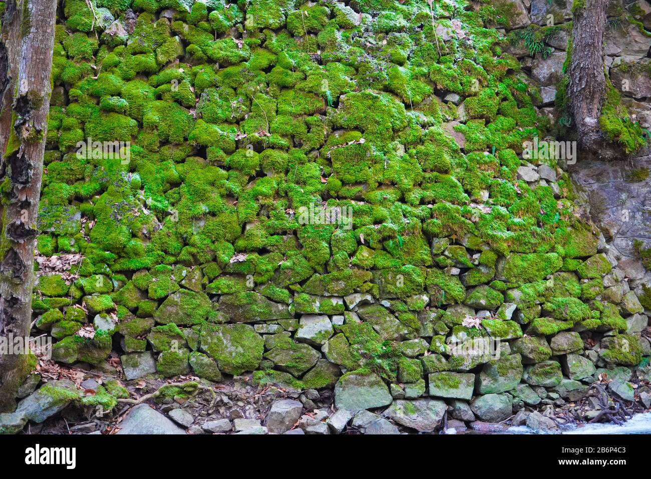 Stones hidden from green mosses Stock Photo